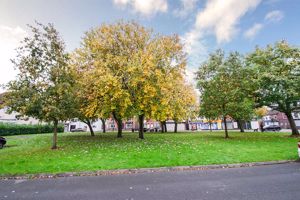 Photo 23- click for photo gallery